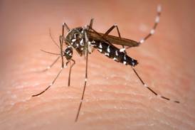 Lake County sees first 2025 human case of West Nile virus